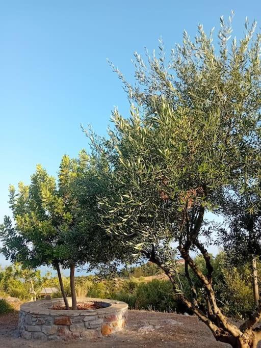 Sofia'S Summer House Koroni  Luaran gambar